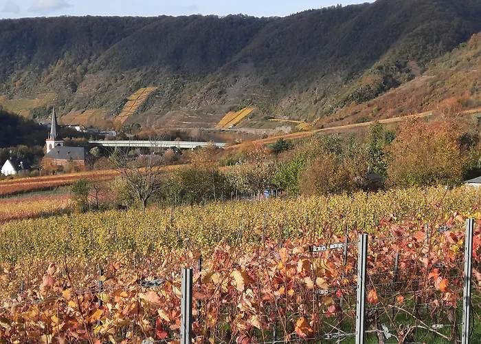 公寓 Goetz 布鲁蒂凡科